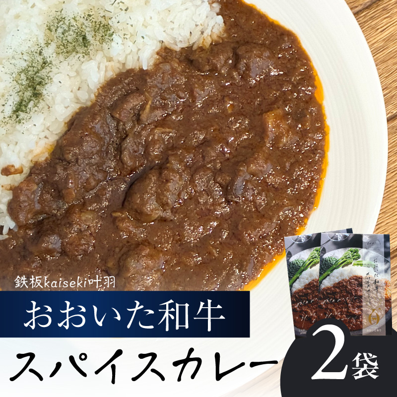 おおいた和牛 スパイスカレー 2袋