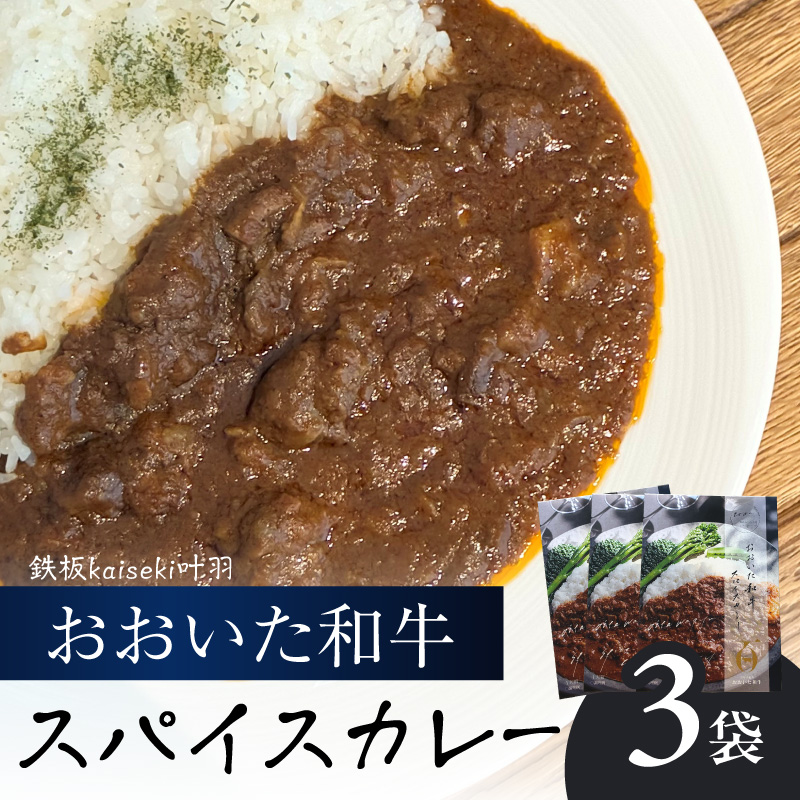 おおいた和牛 スパイスカレー 3袋