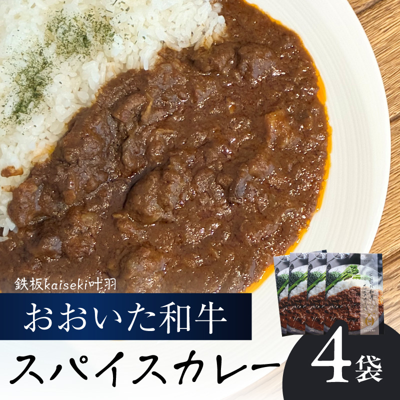 おおいた和牛 スパイスカレー 4袋