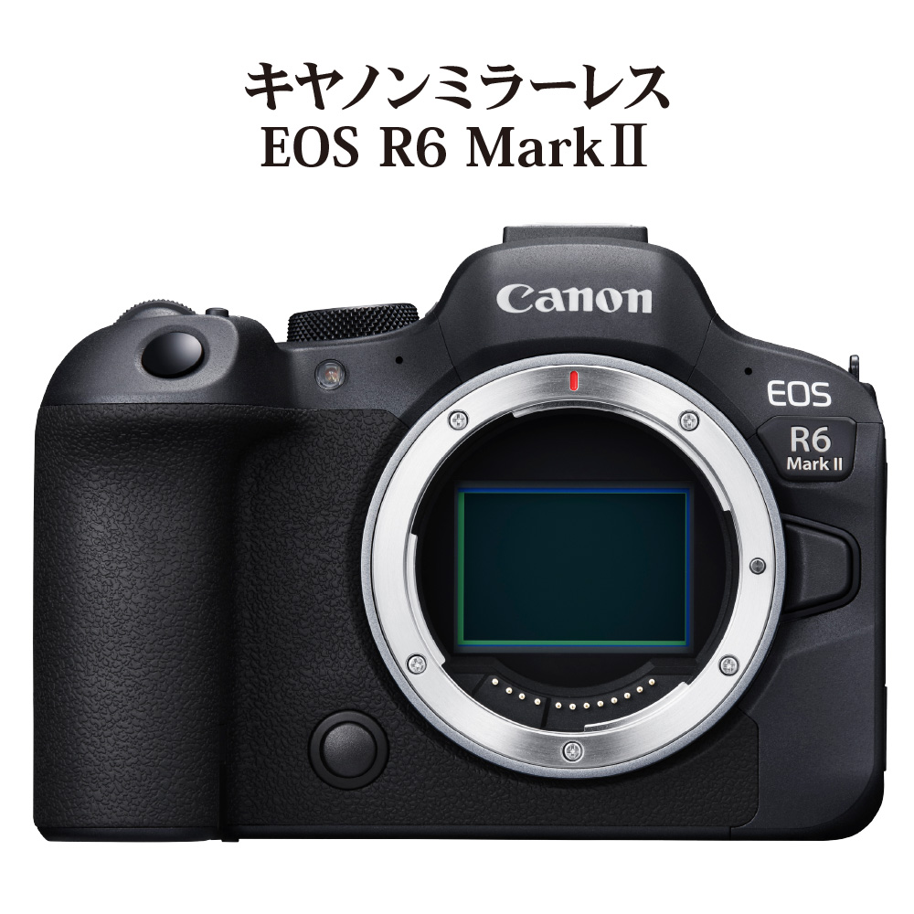 キヤノンミラーレスカメラ EOS R6 Mark Ⅱ CANON Canon キヤノン