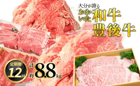 【プレミアム定期便】大分が誇る おおいた和牛・豊後牛毎月お届け定期便（12回）