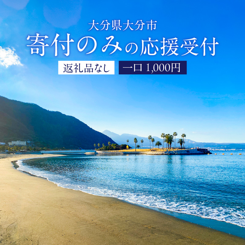 大分県大分市 返礼品なし（寄附のみの受付となります） 一口1,000円