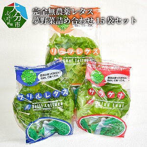完全無農薬レタス　夢野菜詰め合わせ15袋セット