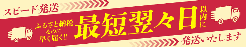 ふるさと納税なのに早く届く！スピード発送特集