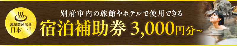 宿泊補助券