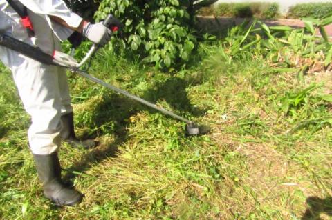 【別府市限定】　草刈りサービス　20㎡まで_ B156-001