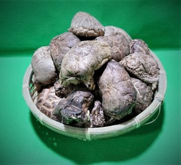 大分県別府産乾しシイタケ150g箱入り_B051-001