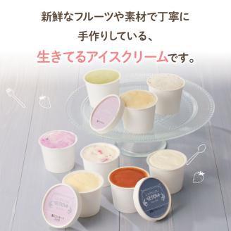 GENOVA Best8 アイスクリーム ＜130ml×8個セット＞