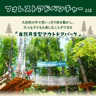 フォレストアドベンチャー　体験チケット【アドベンチャーコース】