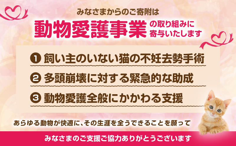  【返礼品なし】動物愛護に関することへの応援寄附(300,000円) 300,000円