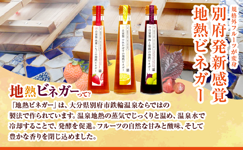 別府鉄輪 地熱ビネガー3種セット【200ml×3本】_B009-001
