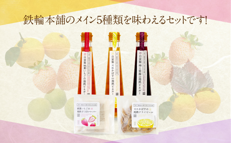 別府鉄輪 地熱ビネガー3種とセミドライフルーツ2種セット_B009-002