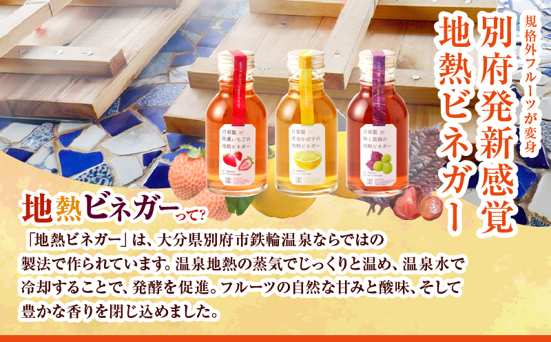 地熱ビネガーミニボトル３種セット_B009-004