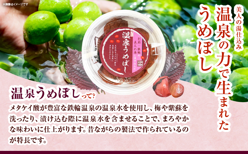 温泉うめぼし３箱ギフト_B009-006