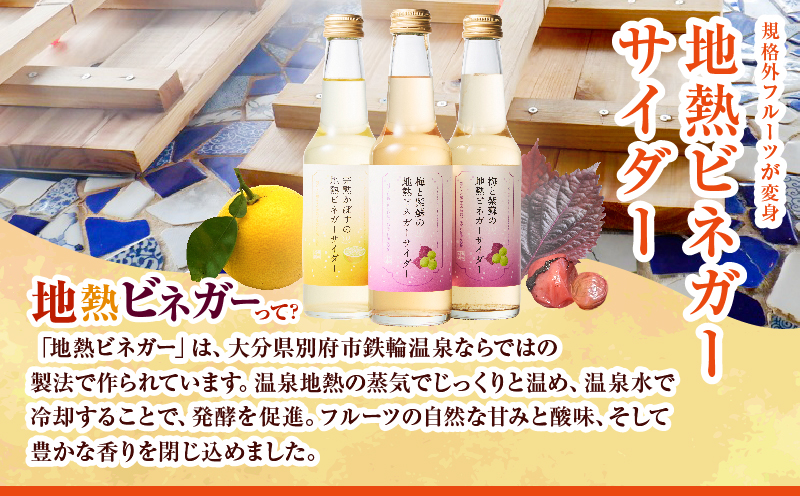 地熱ビネガーサイダーセット(3本)
