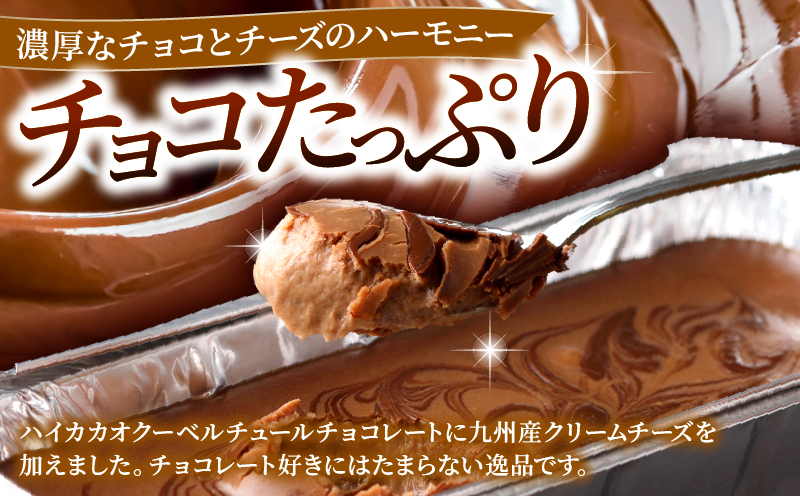 九州産クリームチーズ使用　濃厚チョコチーズケーキと濃厚抹茶チーズケーキセット_B048-005