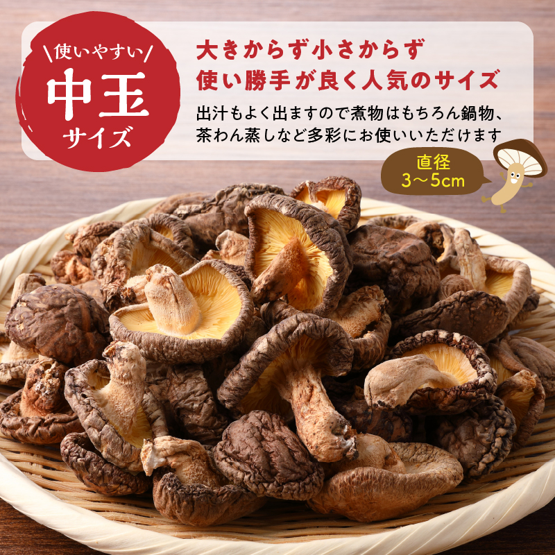 大分県産中玉どんこ椎茸250g 原木栽培 干し椎茸 訳あり 肉厚_B063-002