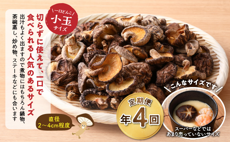 【定期便年4回（3ヵ月に1回）】大分県産小玉どんこ椎茸350g 原木栽培 干し椎茸_B063-021