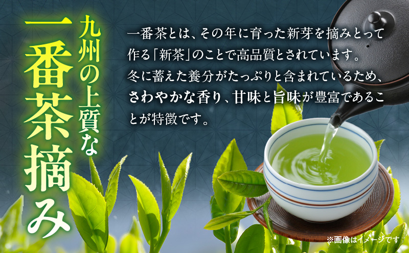 一番茶摘み緑茶ハレーすいせい2号(特上煎茶)250g 2本セット