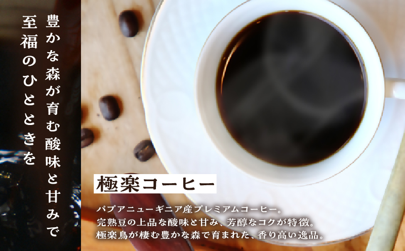 ツインスターシード極楽コーヒー粉（３袋）