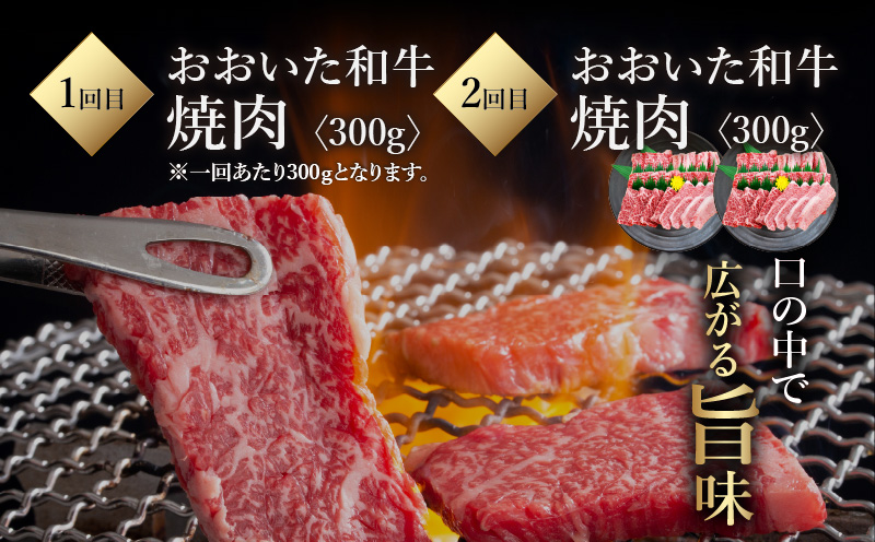 《定期便》おおいた和牛 定期便A