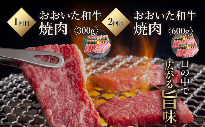 《定期便》おおいた和牛 定期便B