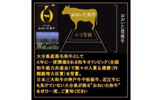 おおいた和牛三昧　サーロインステーキ＆ハンバーグ