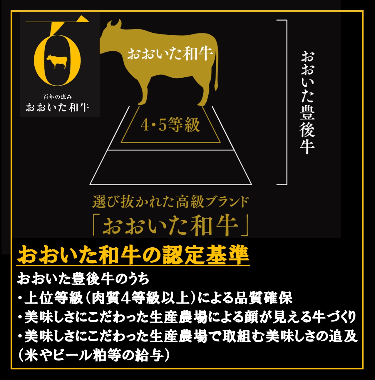 おおいた和牛(大分県産黒毛和牛)サーロインステーキ2枚