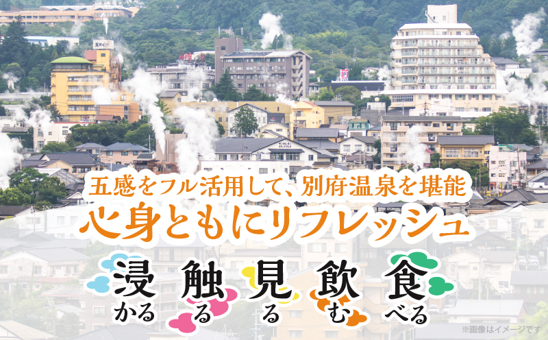別府 温泉三昧ガイド付きツアー(ペア参加)