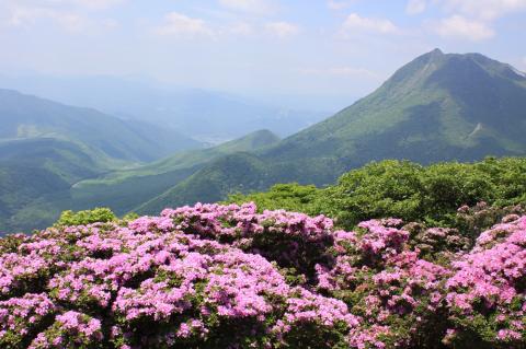 別府ロープウェイ　往復乗車券　大人　1枚_B029-002