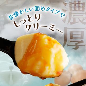 【毎月50限定】ちょっと大人のほろ苦ぷりん☆別府名物地獄蒸し！（10個入り）_B091-002