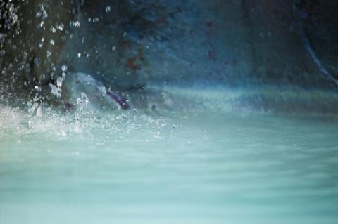 【効能たくさん！白濁の硫黄泉】絶景！大露天風呂入浴回数券（大人５回券）