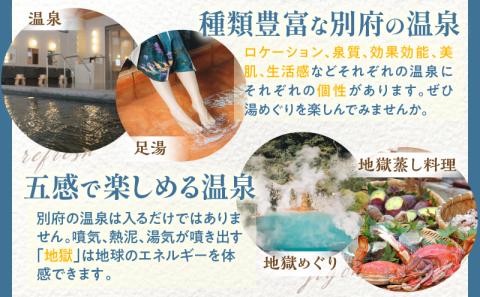 【30,000円分】大分県別府市の対象ツアーに使えるHISふるさと納税クーポン 寄附額100,000円