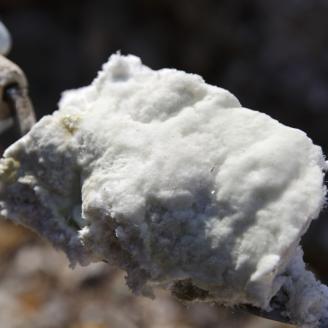湯の花配合　湯の花全身ジェル