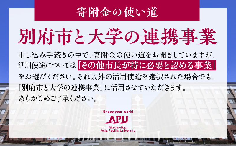 【返礼品なし】立命館アジア太平洋大学（APU）学生と地域との交流事業への応援寄付（1口2000円）