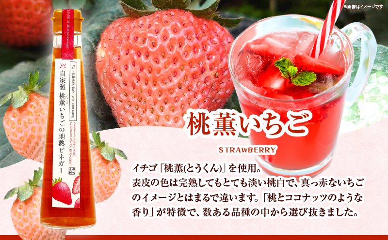 別府鉄輪 地熱ビネガー3種セット【200ml×3本】_B009-001