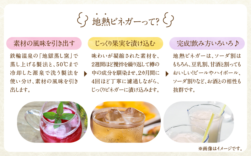 別府鉄輪 地熱ビネガー3種とセミドライフルーツ2種セット_B009-002
