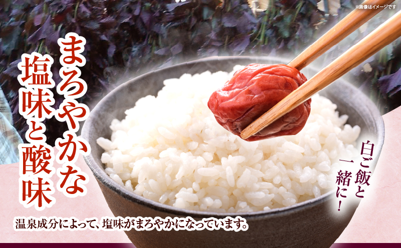 温泉うめぼし３箱ギフト_B009-006