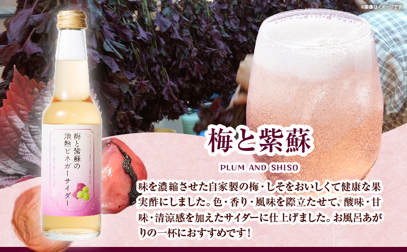 地熱ビネガーサイダーセット(3本)