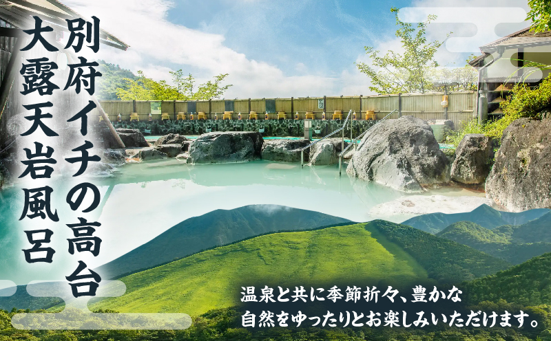 【効能たくさん！白濁の硫黄泉】絶景！大露天風呂入浴回数券（大人５回券）