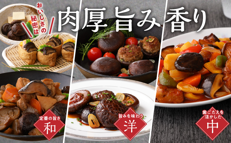 【定期便年4回（3ヵ月に1回）】大分県産小玉どんこ椎茸350g 原木栽培 干し椎茸_B063-021