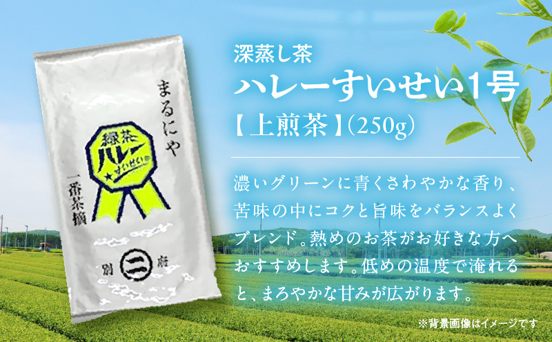 一番茶摘み緑茶ハレーすいせい1号(上煎茶)250g　2本セット