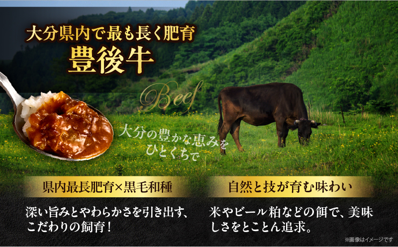百膳の夢　豊後牛入りスパイシーカレーギフト_B081-010
