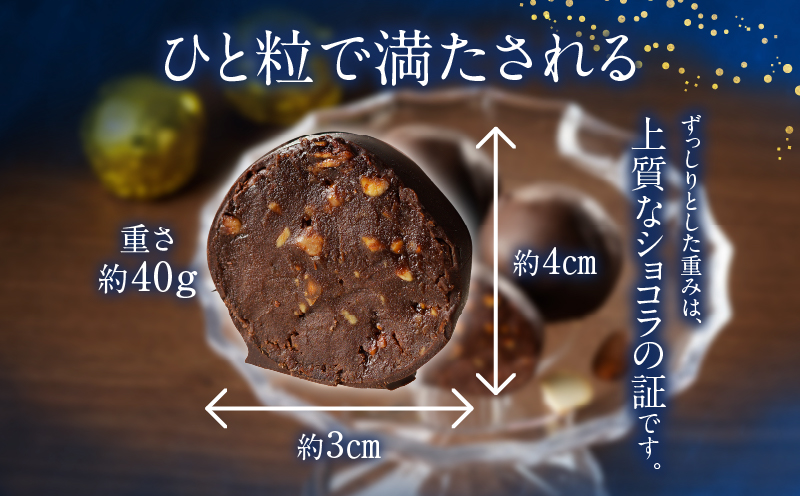 ラムショコラ　10個入り_B128-001