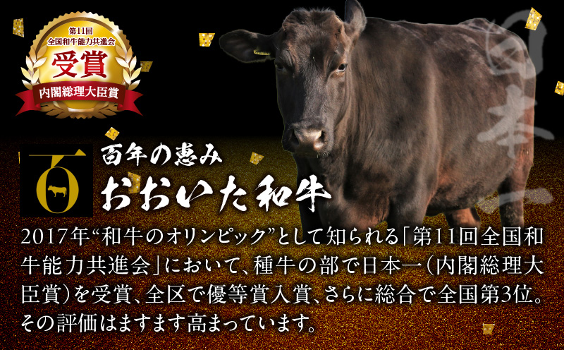 おおいた和牛ヒレステーキ（ひとくちカット）500g_B140-008