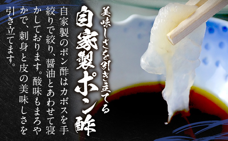 ＜期間限定＞ 天然とらふぐ 刺身 2～3人前