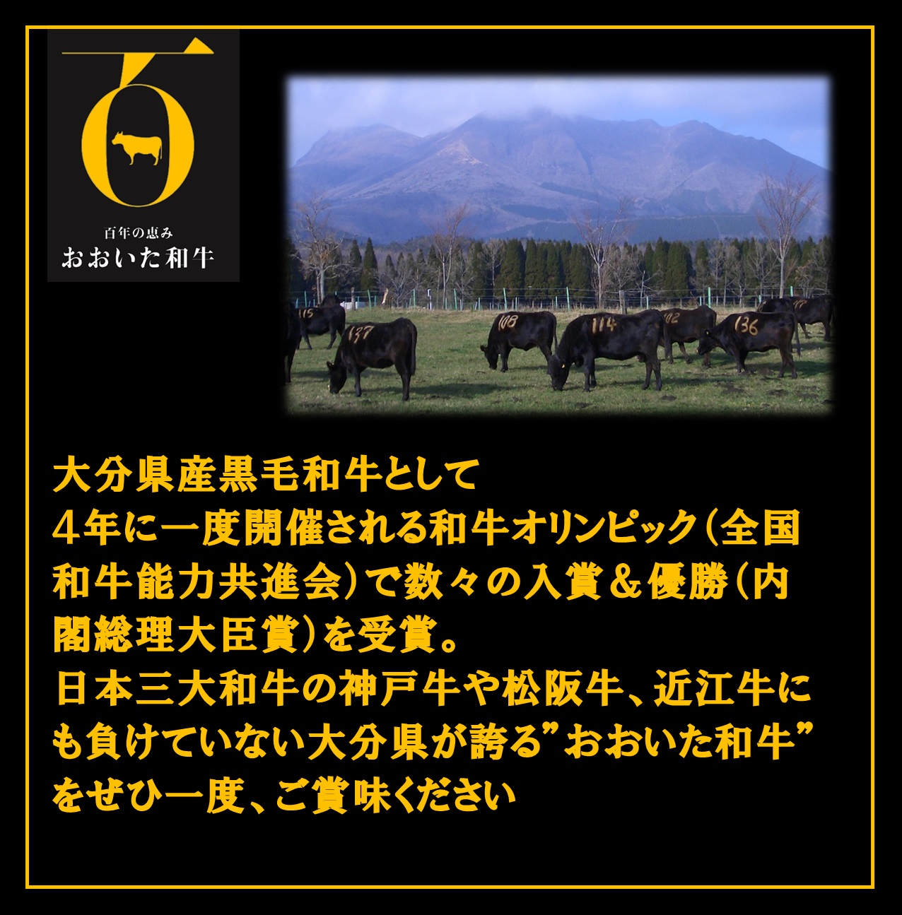 おおいた和牛(大分県産黒毛和牛)サーロインステーキ2枚