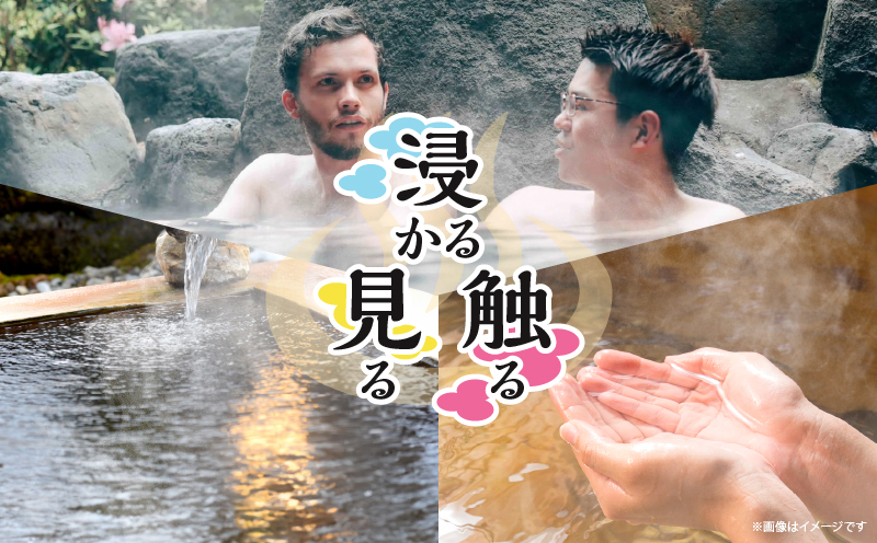 別府 温泉三昧ガイド付きツアー(ペア参加・送迎付き)