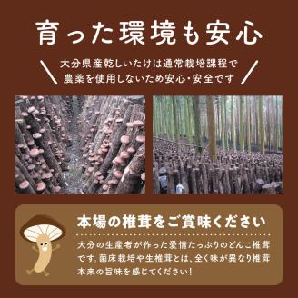 大分県産大玉どんこ椎茸220g 原木栽培 干し椎茸 肉厚 訳あり_B063-003