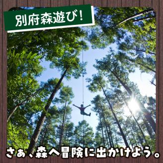 フォレストアドベンチャー　体験チケット【キャノピーコース】